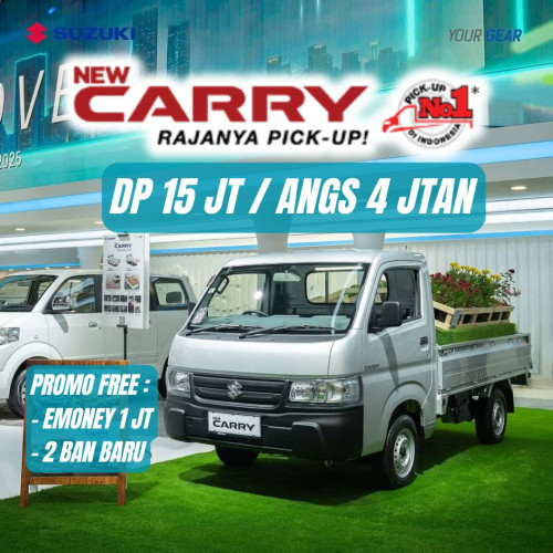 PROMO PICK UP CARRY